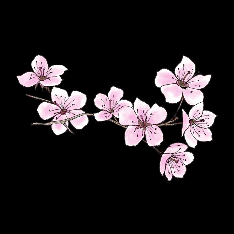 Kirschblüten