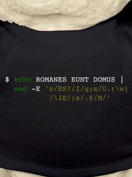 Roman Eunt Domus