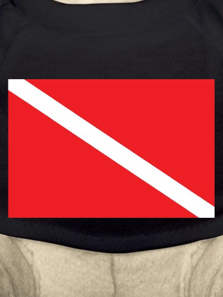 DRAPEAU DE PLONGÉE SOUS-MARINE