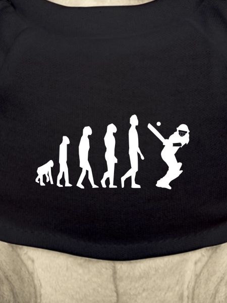 Cricket Evolution