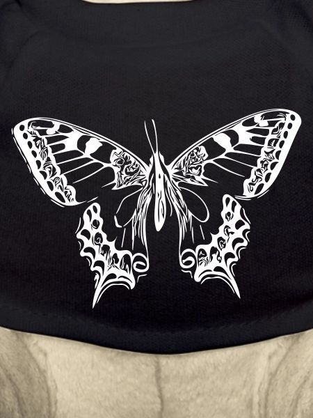 Elegant butterfly