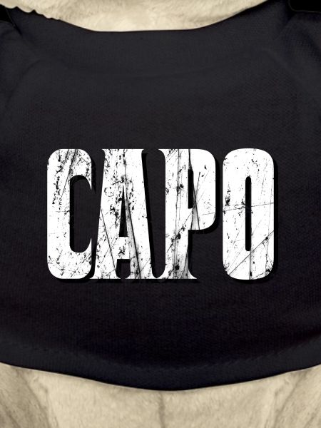 capo