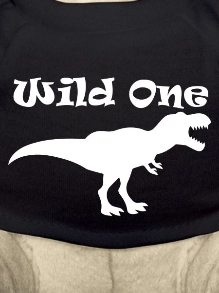 Dinosaurier Dino Dinosaur