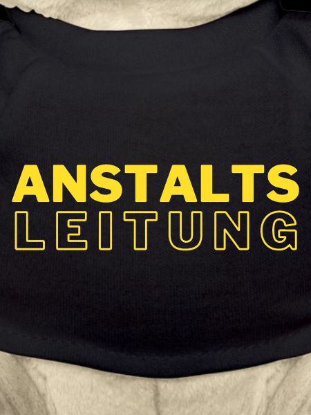 ANSTALTSLEITUNG