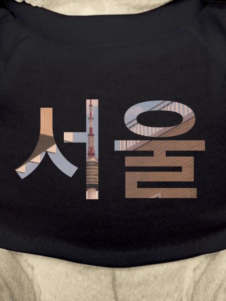 Language Korean Seoul