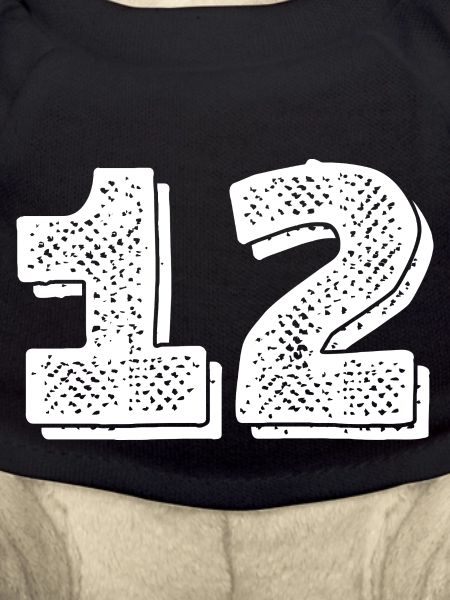 Numéro 12 - 12ème anniversaire
