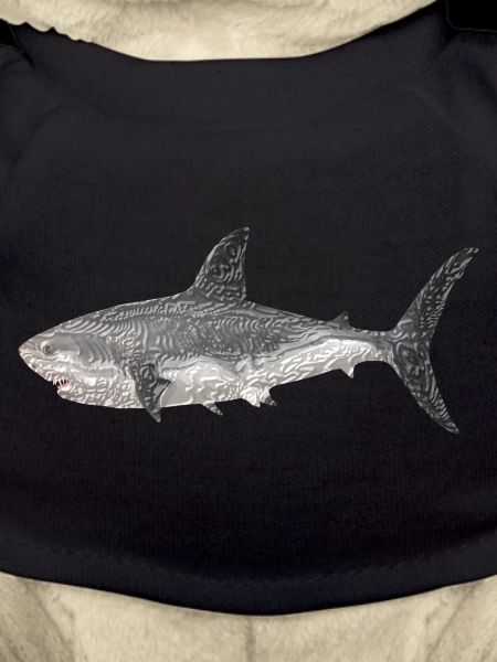 Sharks