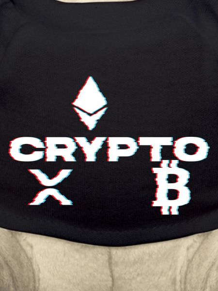 Crypto Glitch