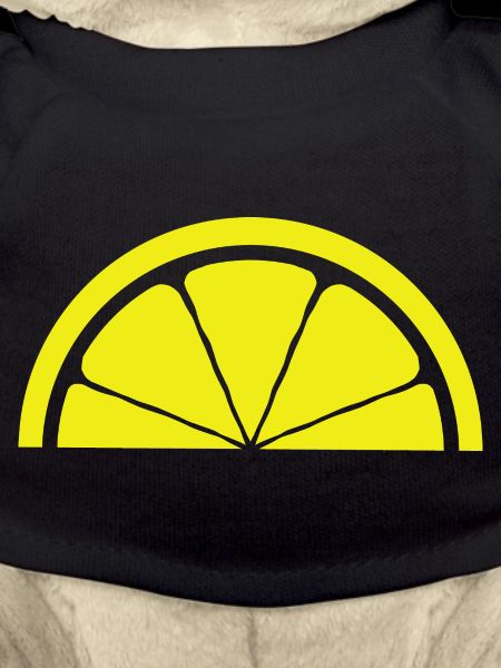 Zitrone Design