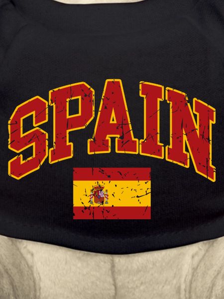 Spain Flag