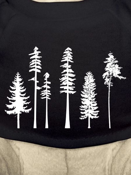 pine tree