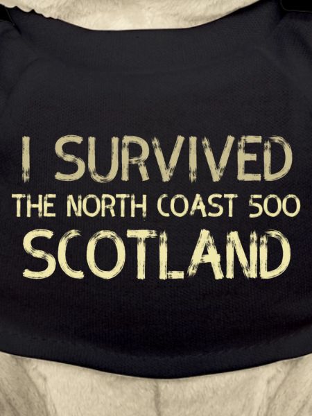 i survived nc500