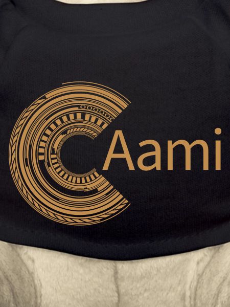 Pour Aami