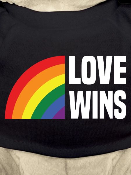 Love Wins Rainbow