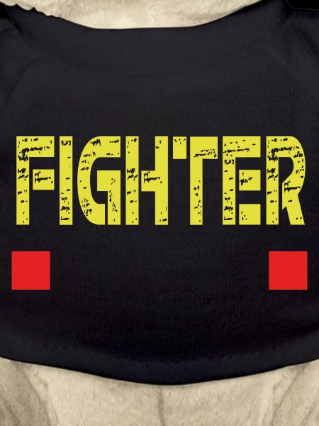FIGHTER text base