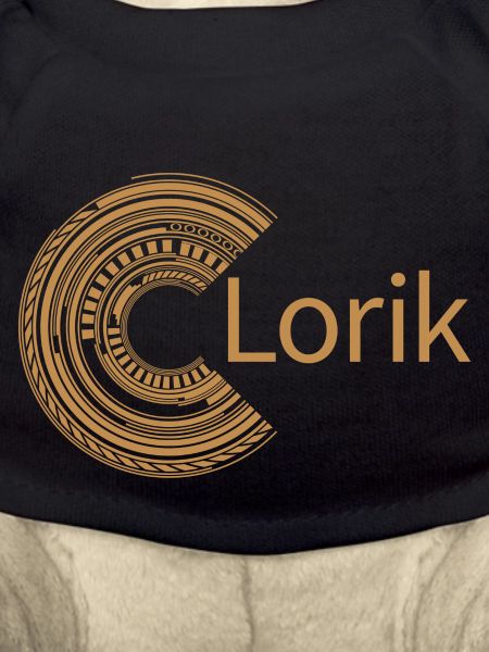 For Lorik
