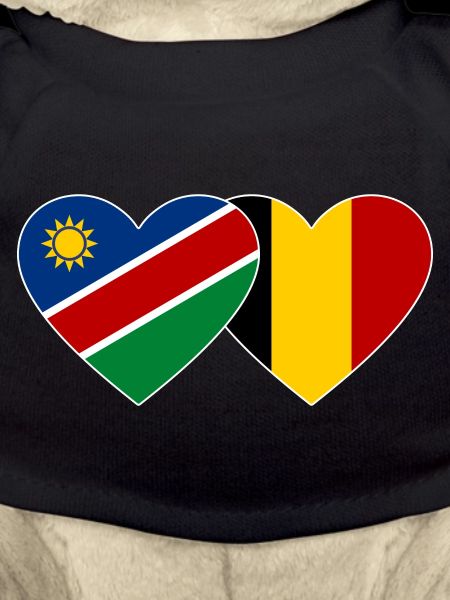 Namibia Belgium Flag Heart