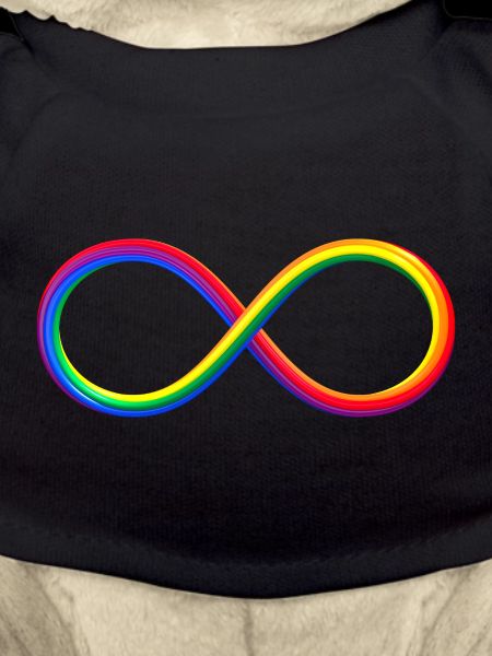 Infini Infinity Symbol Arc-en-ciel LGBT