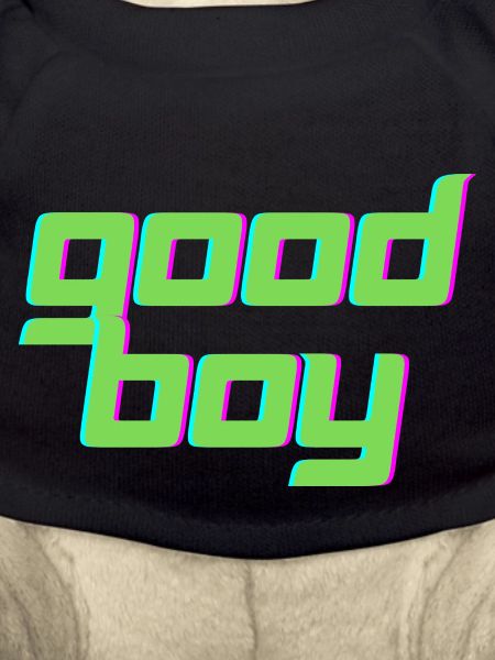 Good Boy