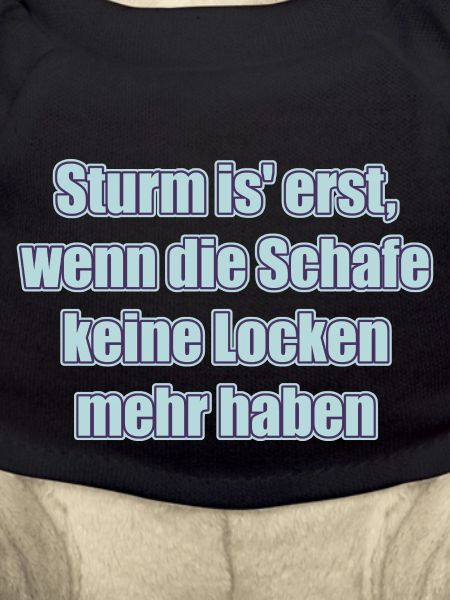 Glatthaarschafe