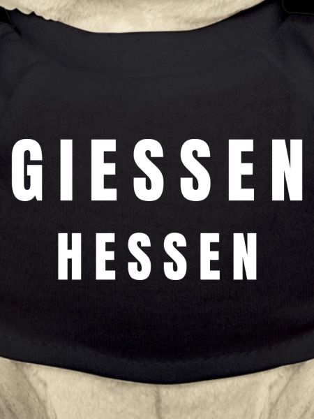 Giessen, Hesse
