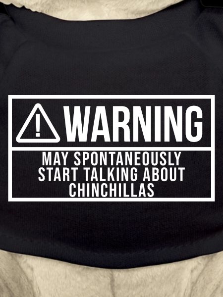 Chinchilla Chinchilla Chinchilla