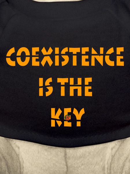 Coexistence is the key!