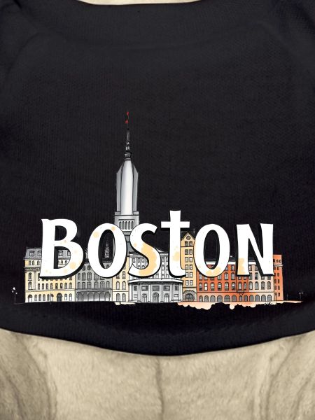Boston USA Geschenkidee