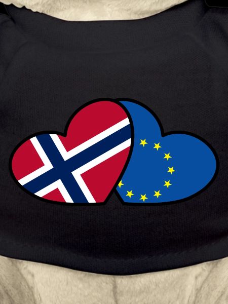 Norway <3 EU