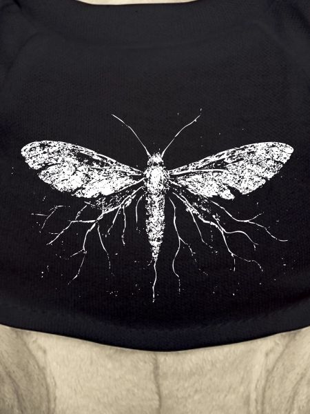 Electrified Moth