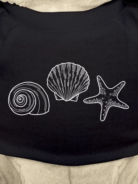 Shell, Starfish, Snail - white