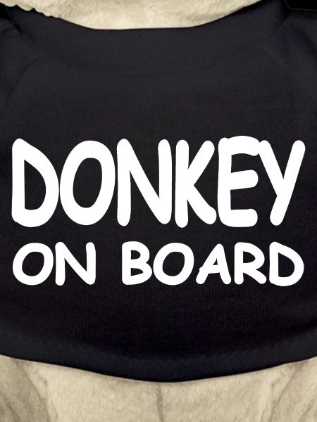 donkey