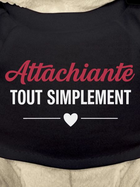 Attachiante tout simplement humour féminin