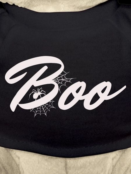 Boo Halloween Spider Web Lettering