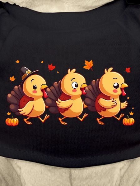 Bébé dinde de Thanksgiving