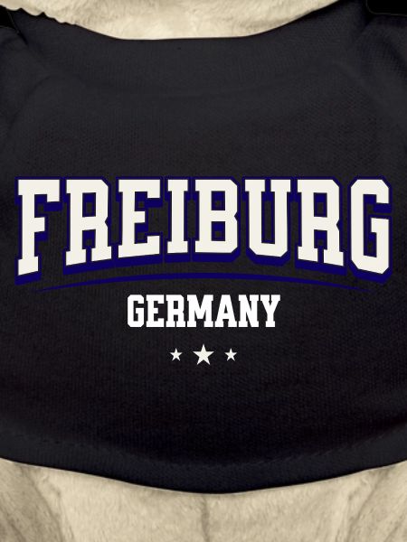 Freiburg Germany College Design