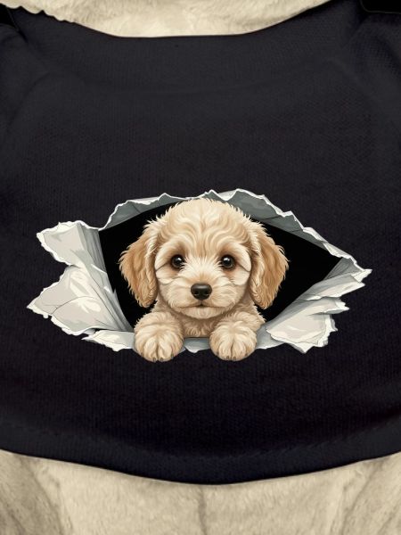 Niedlicher Cockapoo Goldendoodle Zerrissenes Papier