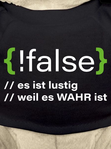 false - Funny programmer saying