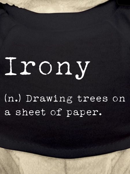 Irony Definition