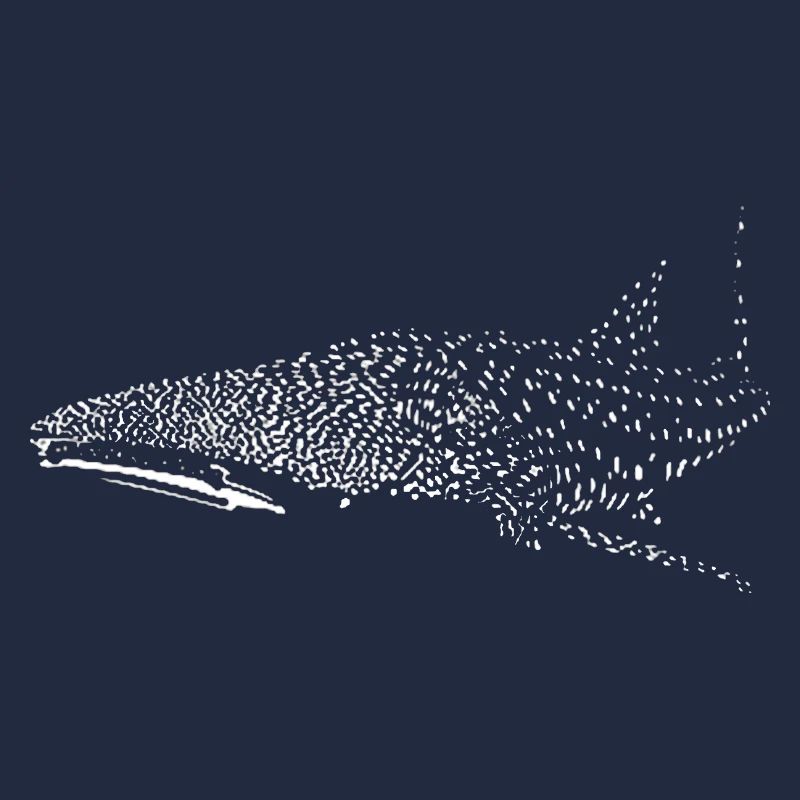 Whale shark