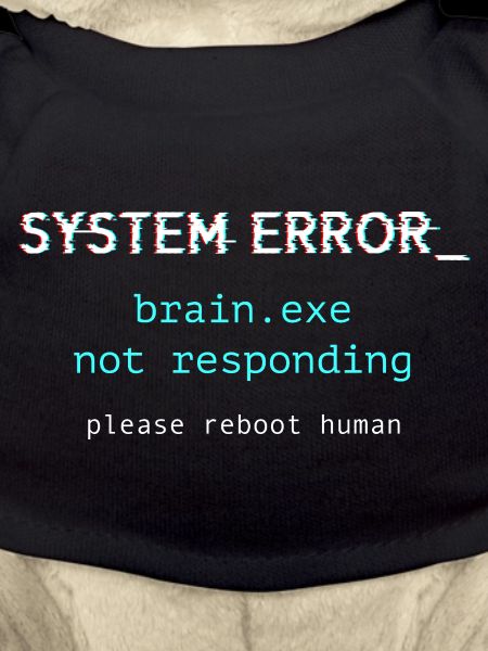 Systemfehler ‒ brain.exe reagiert nicht