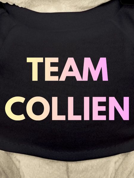 Team Collien Gradient Text