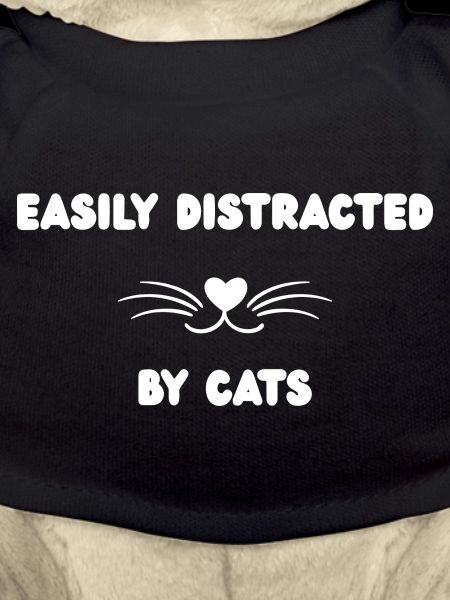 Purring distracts cat humor