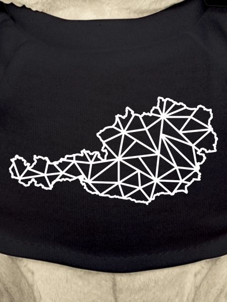 Austria Geo