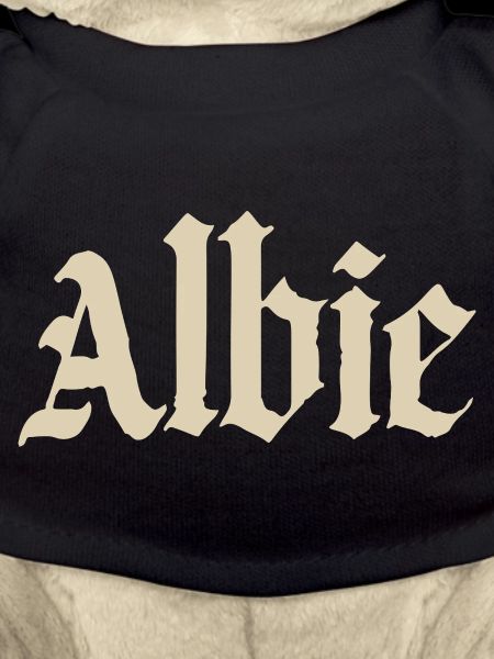 Albie Gothic Fracture Print