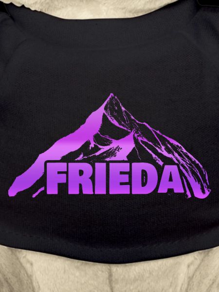 Fried