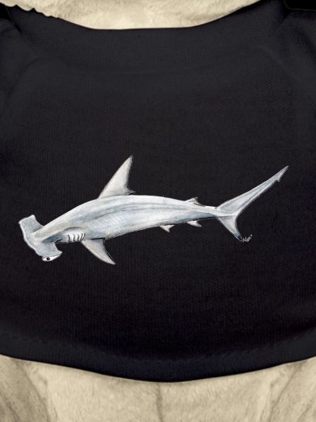 requin Martillon - requin-marteau - Réquin