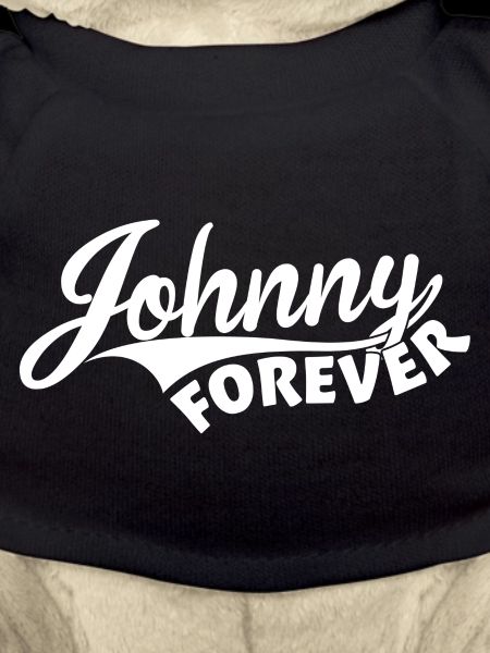 Johnny Forever