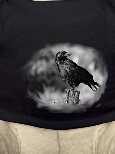 Crow