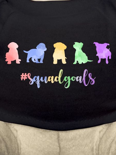 Chiot Objectifs Squad